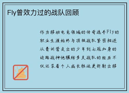 Fly曾效力过的战队回顾