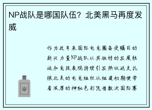 NP战队是哪国队伍？北美黑马再度发威